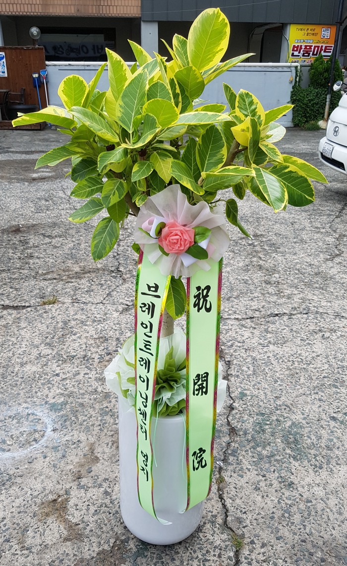 극Ʈ̴׼ʹ 뱸ɹ Դϴ 