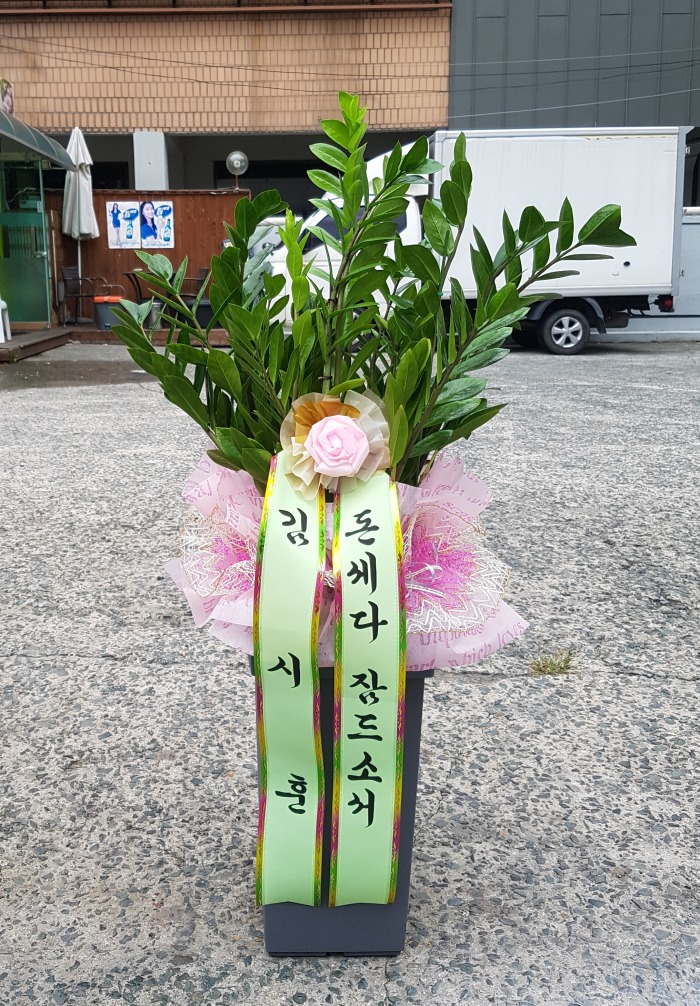 *ƴ 뱸ɹ Դϴ 