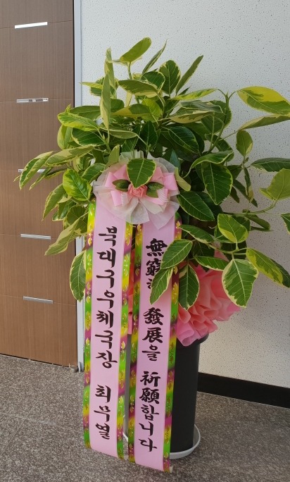 ϴ뱸ü 뱸ɹ Դϴ 