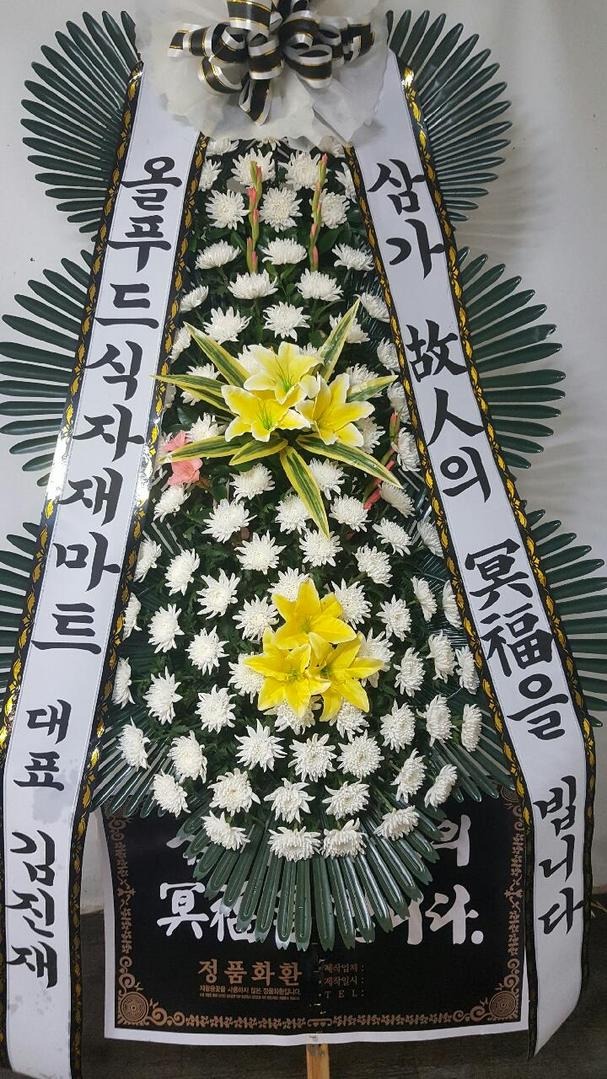 Ǫ縶Ʈ 뱸ɹ Դϴ 