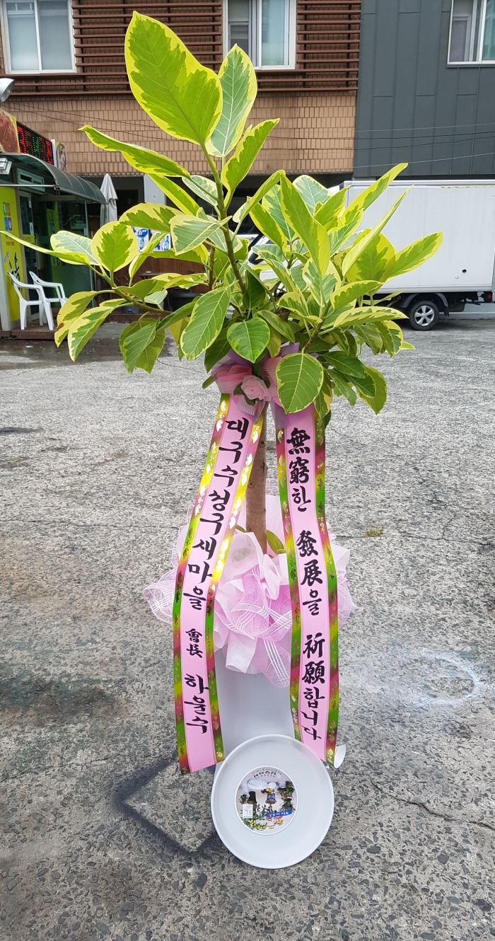 뱸ȸ 뱸ɹ Դϴ 