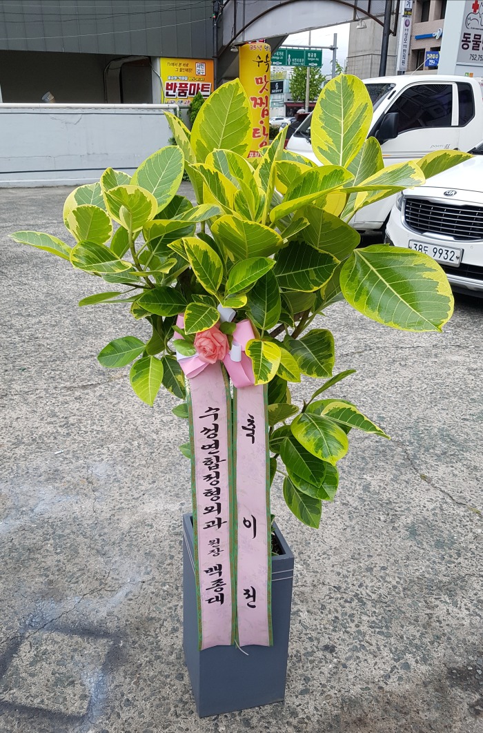 ܰ 뱸ɹ Դϴ 