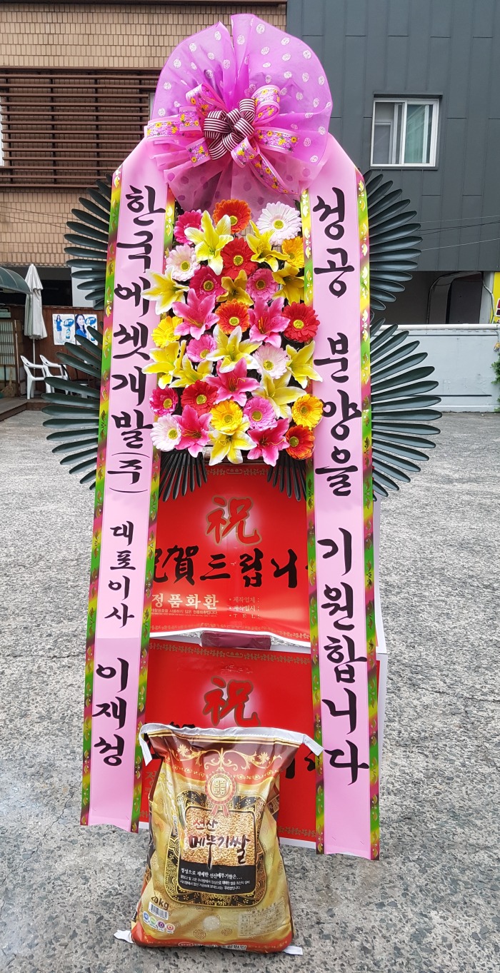 ѱ°() 뱸ȭȯ Դϴ