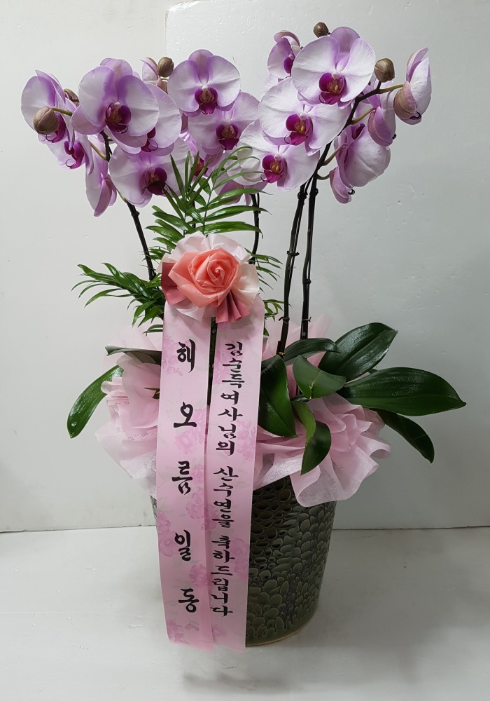 ؿȸ 뱸ɹ Դϴ 