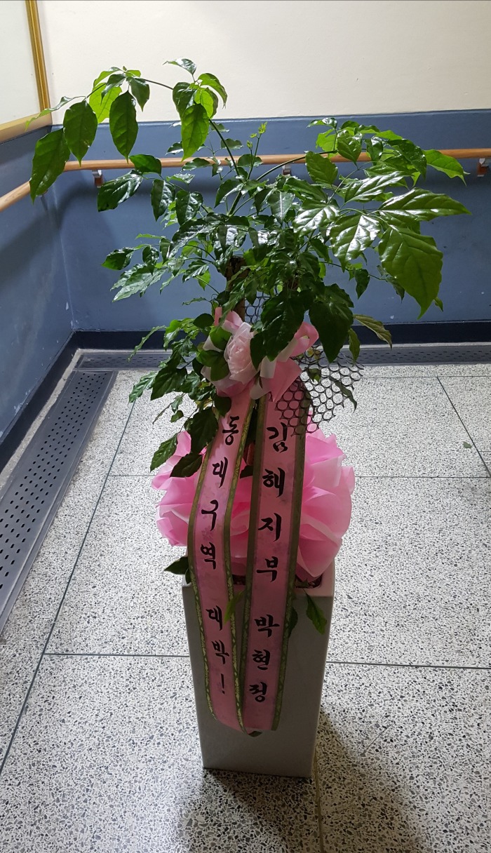 δ 뱸 Դϴ 