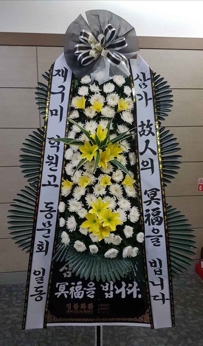籸  뱸ʽ ɹ Դϴ
