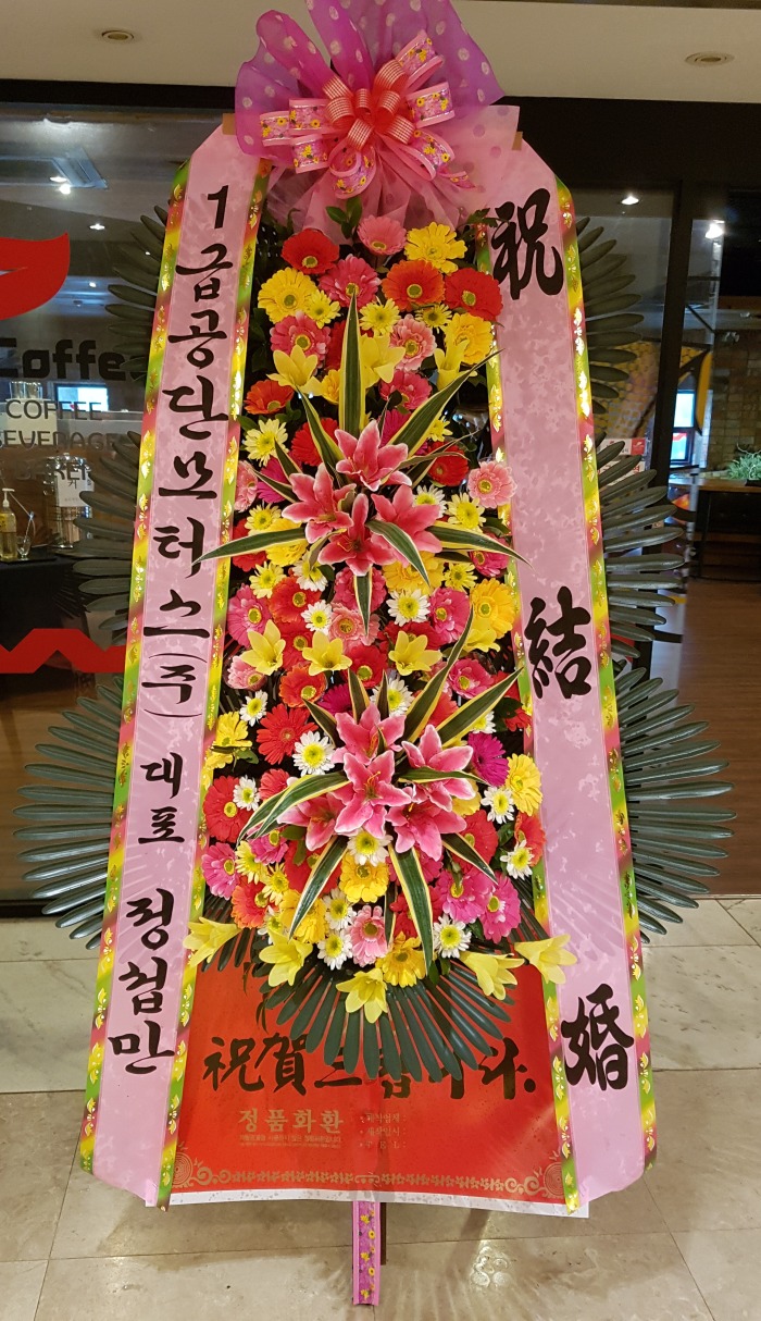 1ްܸͽ() 뱸ɹ Դϴ 