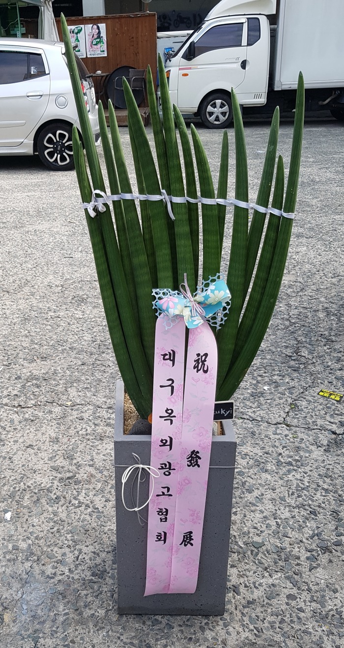 뱸ܱȸ 뱸 Դϴ 