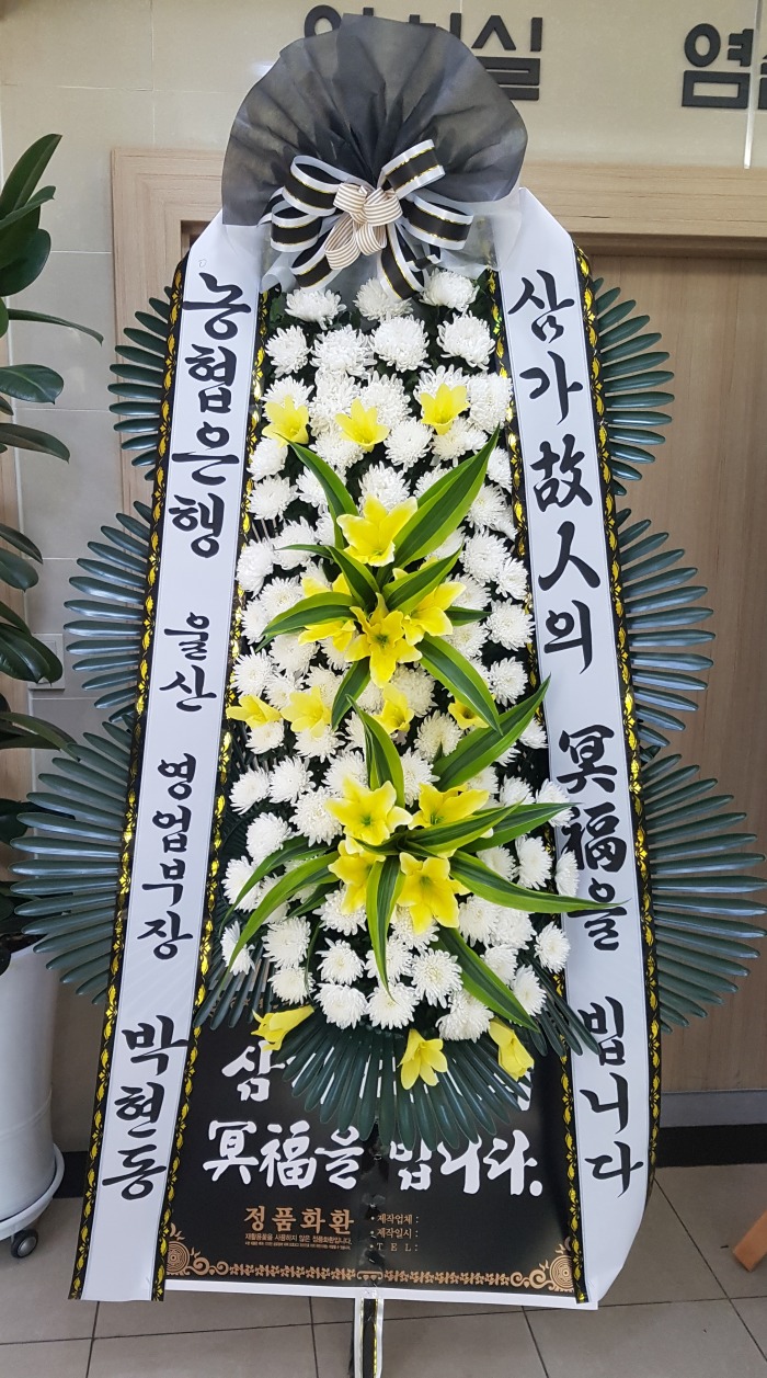  뱸ɹ Դϴ 