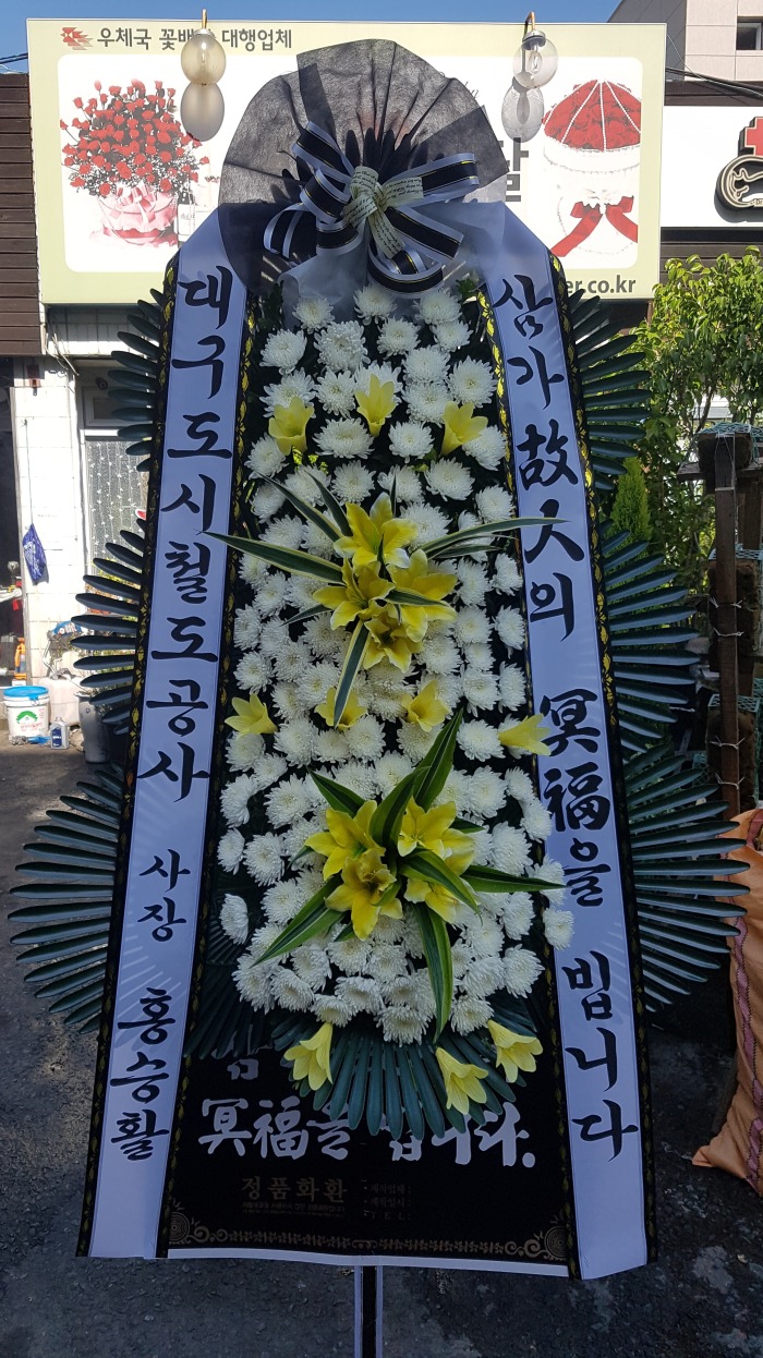 뱸ö  뱸ȭȯ Դϴ 