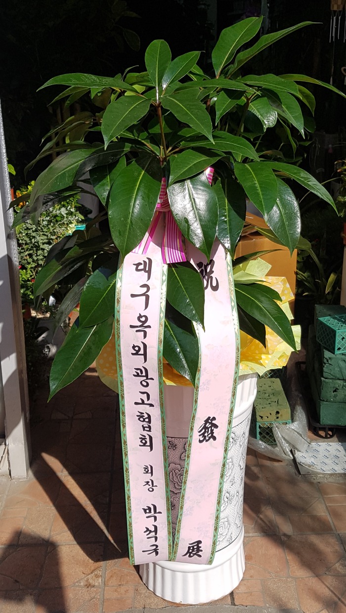 뱸ܱȸ 뱸 Դϴ 