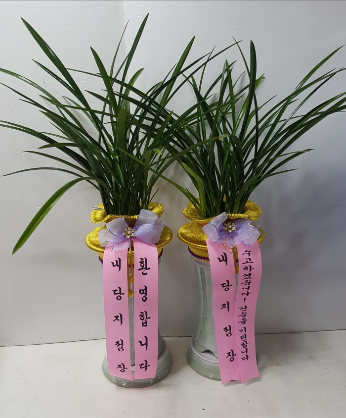  뱸ɹ Դϴ 