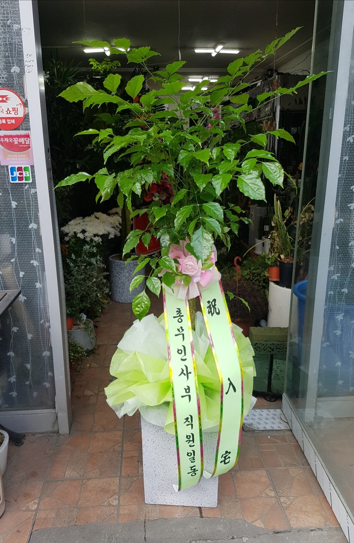 ѹλ 뱸ɹ Դϴ 