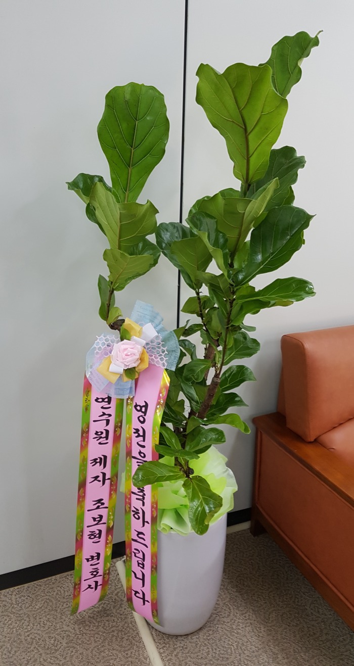  ڴ 뱸ɹ Դϴ 