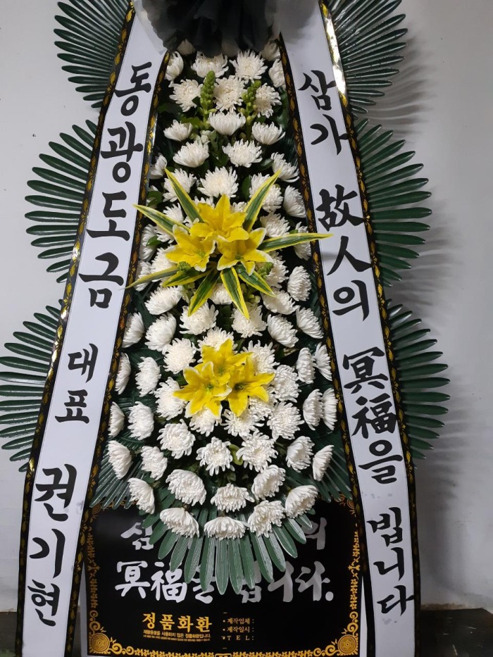 ݴ 뱸ȭȯ Դϴ