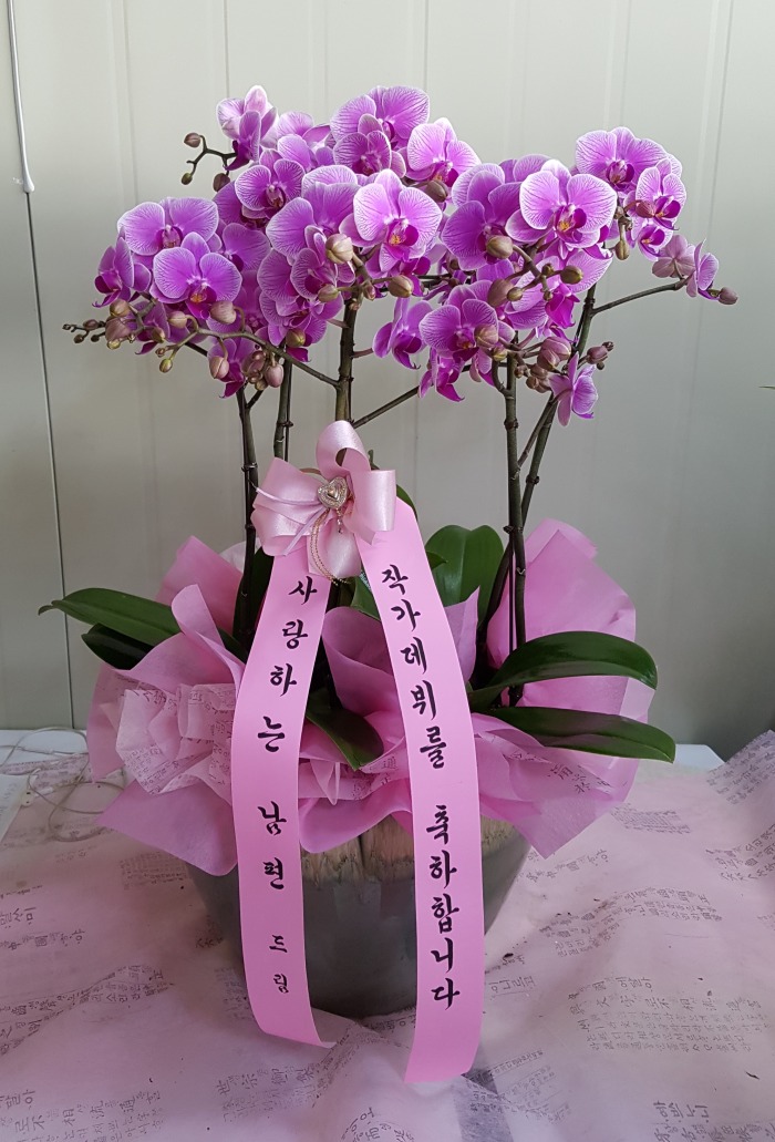 ϴ  뱸ɹ Դϴ 