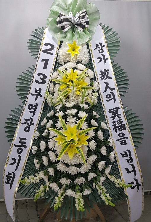 213ο 뱸ɹ Դϴ 