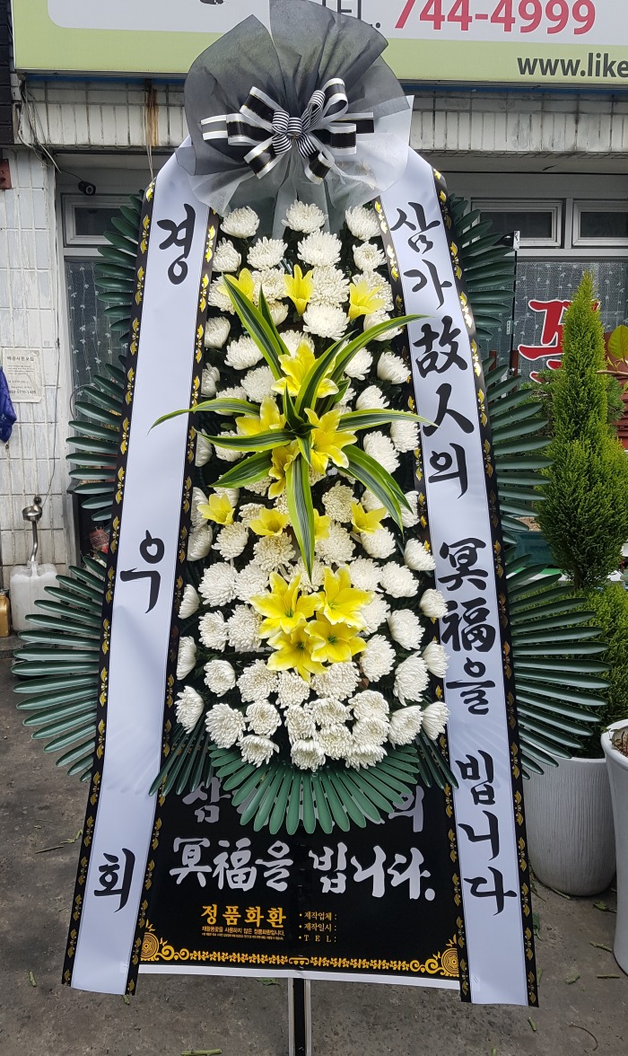 ȸ  뱸ȭȯ Դϴ 