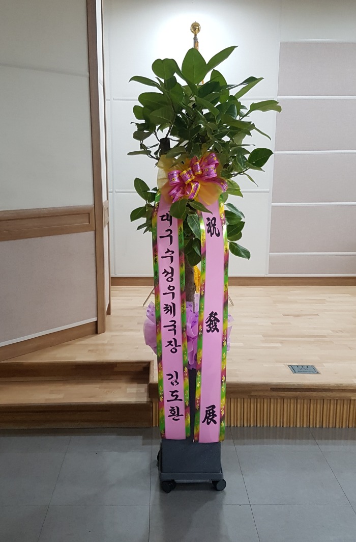 뱸ü  뱸ɹ Դϴ 