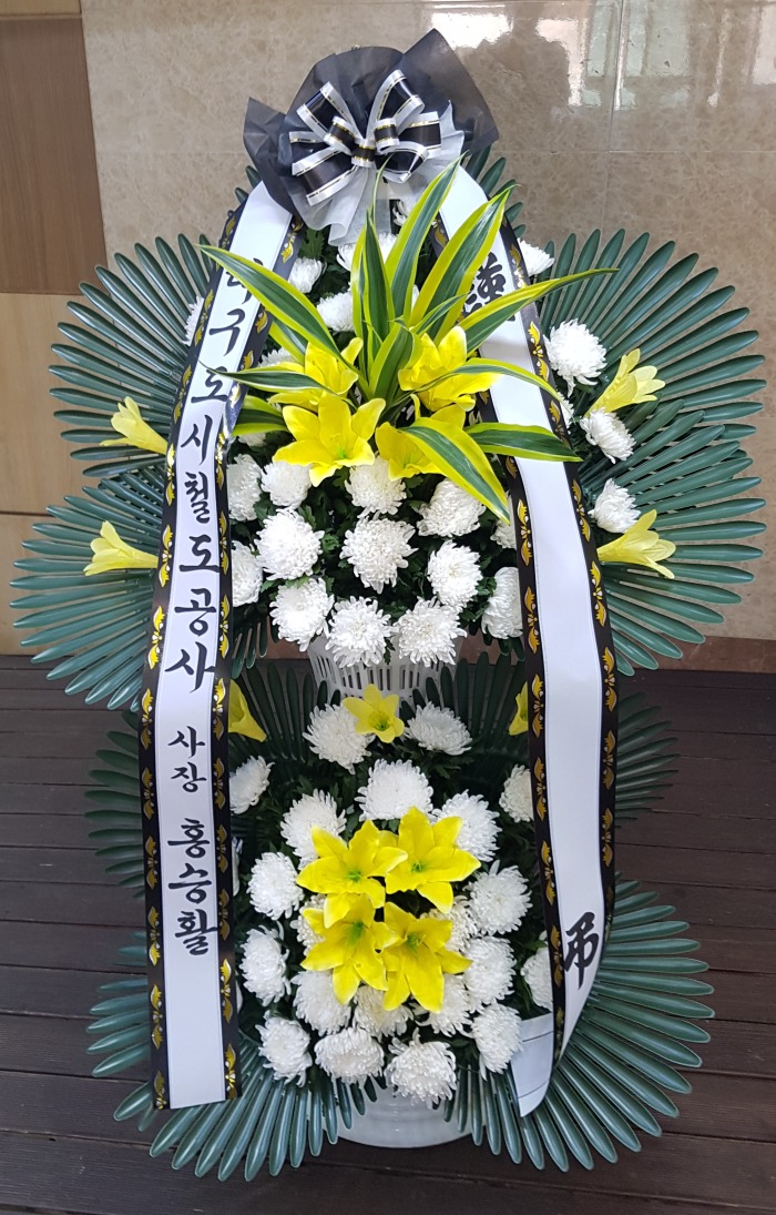  DTRO 뱸ɹ Դϴ 