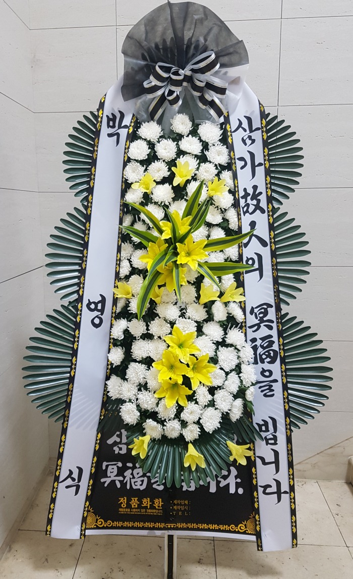 ڿĴ 뱸ɹ Դϴ