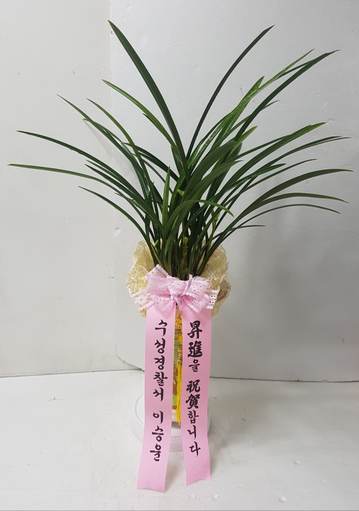  뱸Դϴ