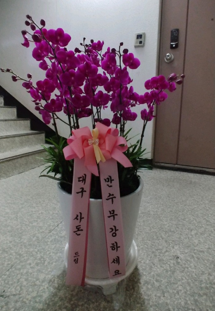 뱸絷 ɹ Դϴ
