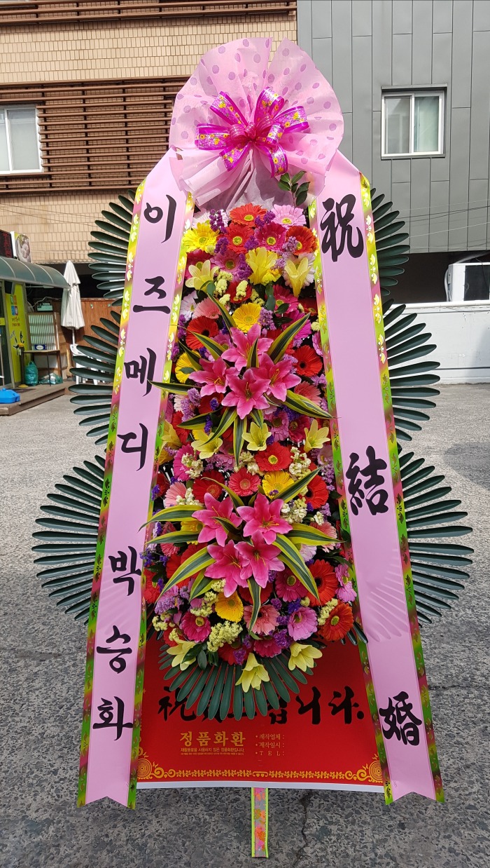 ޵ 뱸ȭȯ Դϴ 