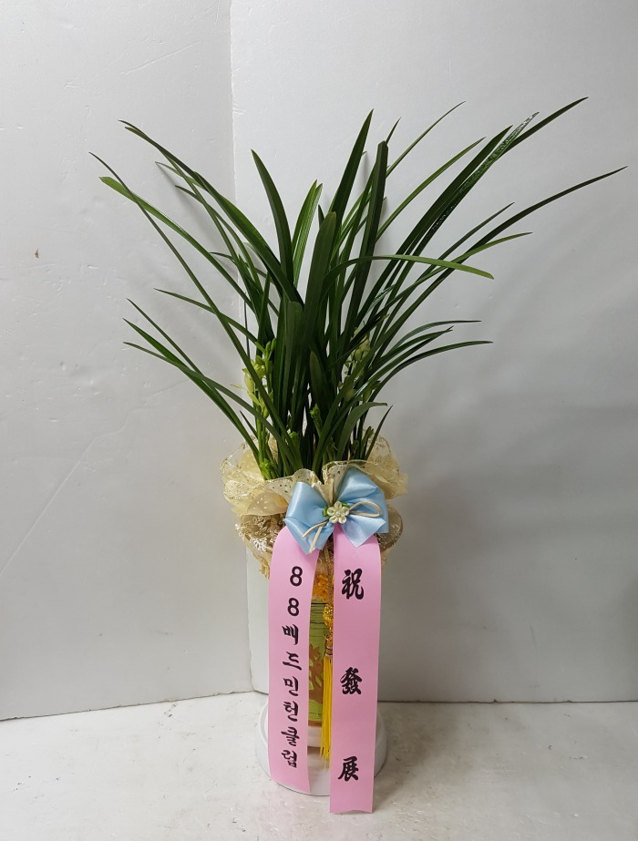 88Ŭ 뱸޼ɹ Դϴ 