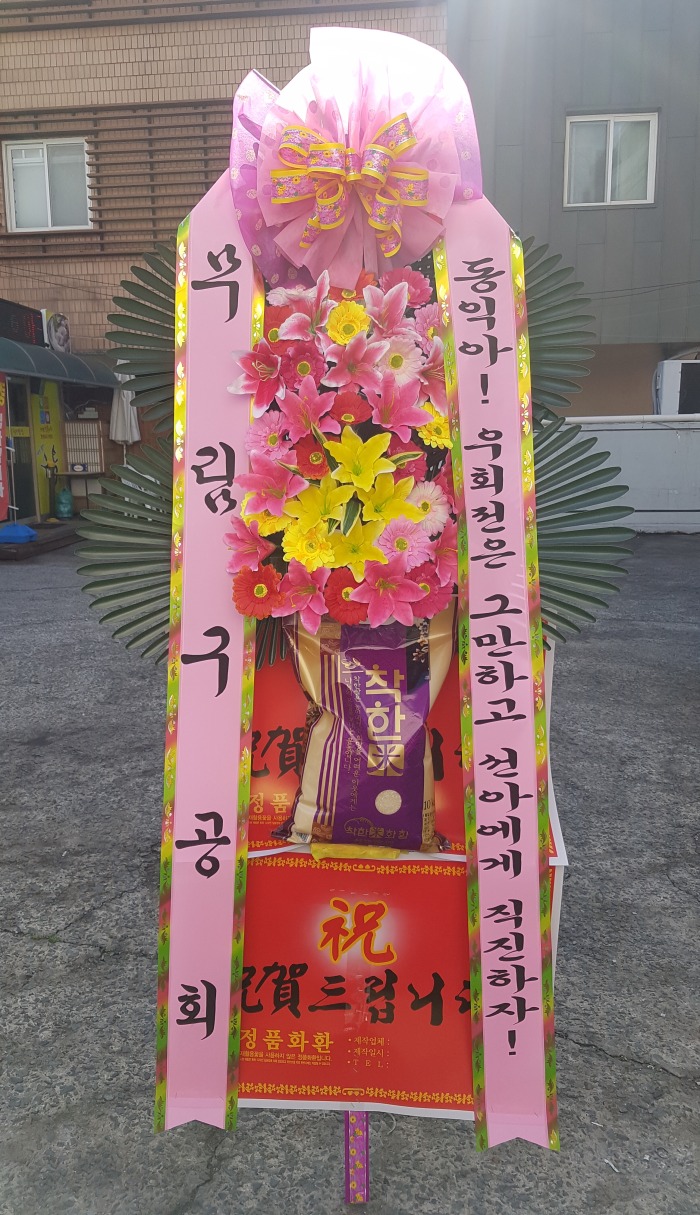 ȸ 뱸ȭȯ Դϴ 