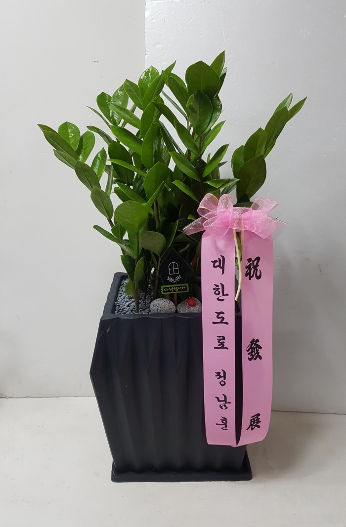 ѵ 뱸ϱɹ Դϴ 