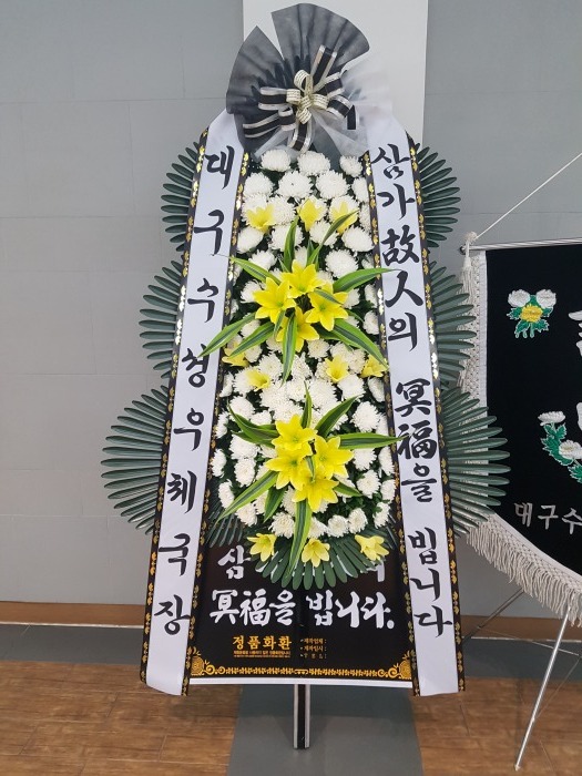 뱸ü 뱸ɹ Դϴ 