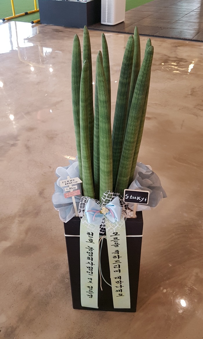 ȸ δ 뱸ɹ Դϴ 