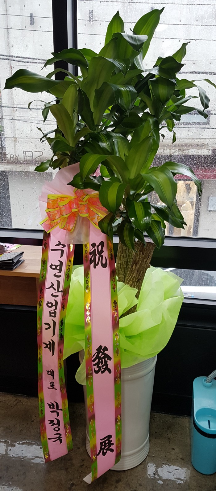  뱸ɹ Դϴ