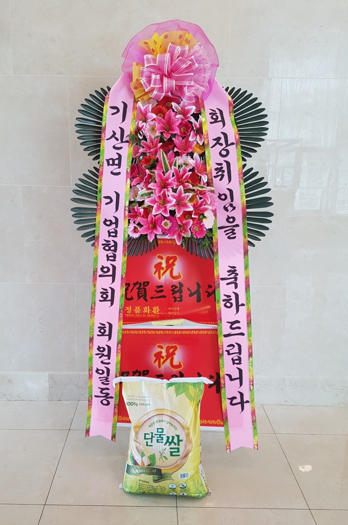  ȸ 뱸ȭȯ Դϴ 