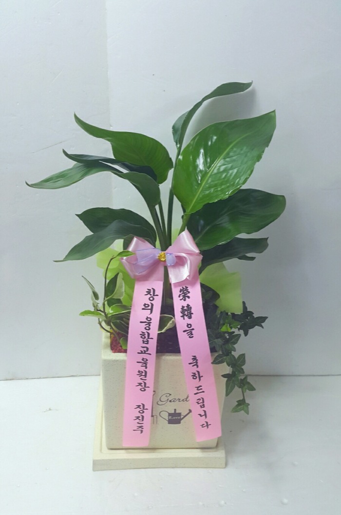 âձ 뱸ɹ Դϴ