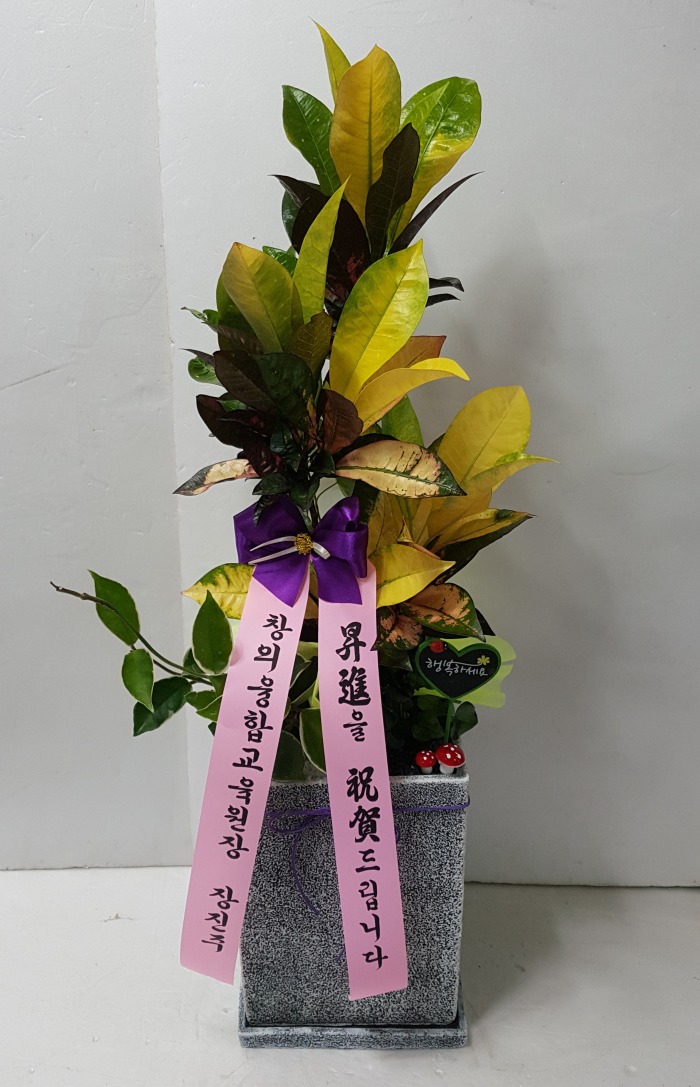 âձ 뱸 Դϴ