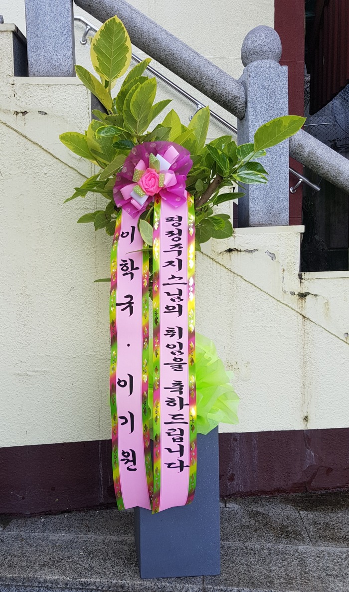 ̱ 뱸ɹ Դϴ 