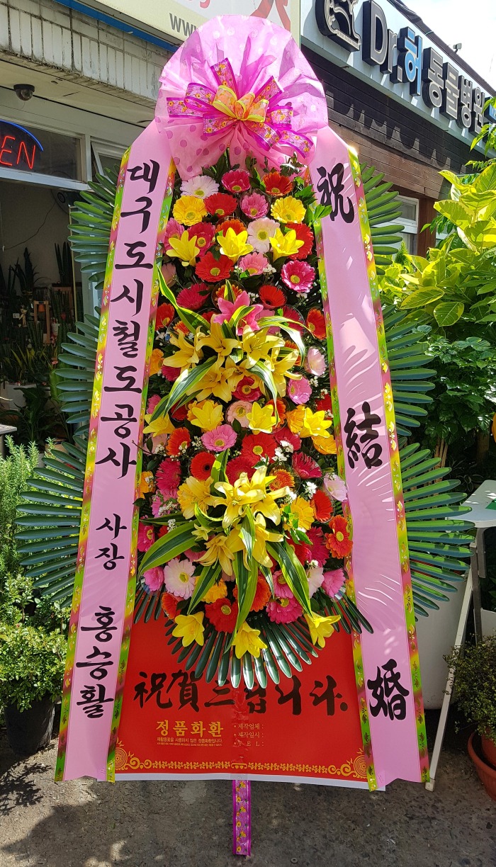 뱸ö 뱸ȭȯ Դϴ 