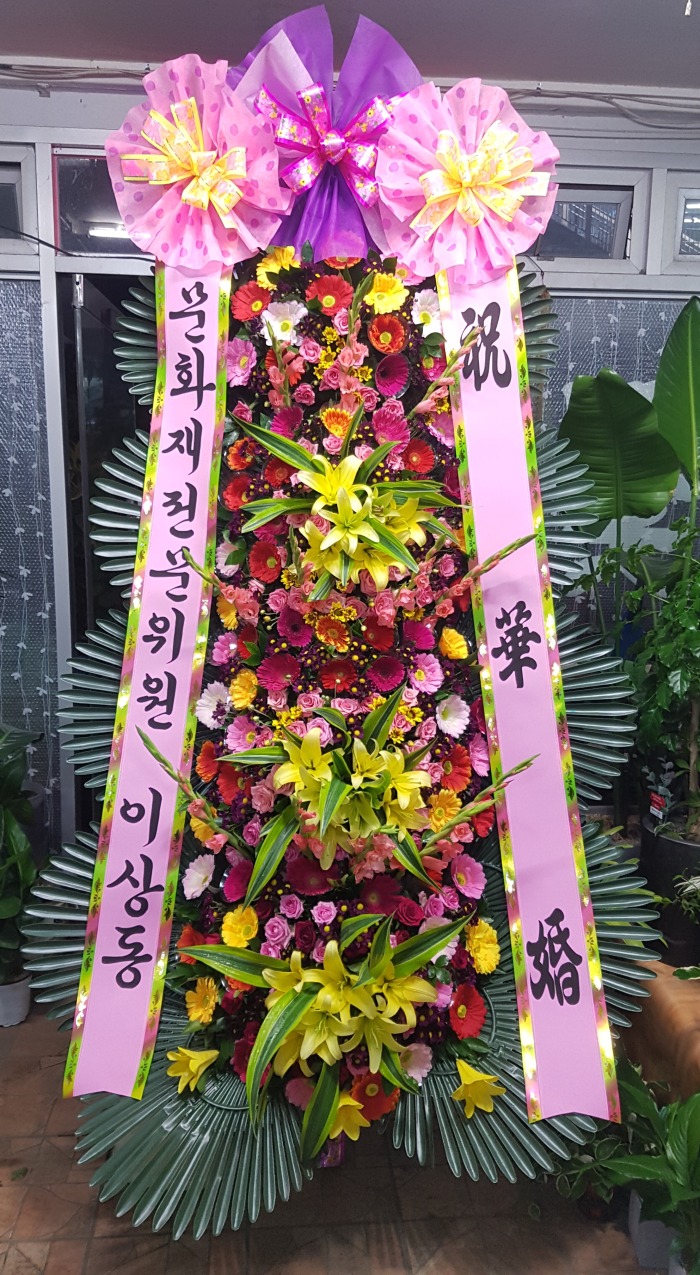 ȭ 뱸ȭȯ Դϴ 