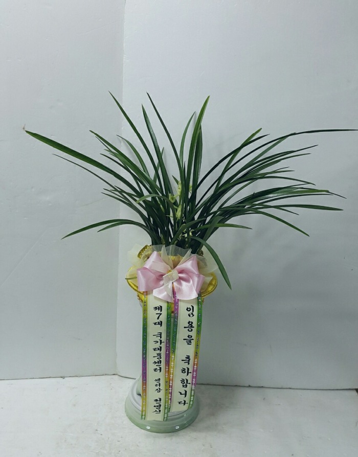 ǳʹ 뱸ϱɹ Դϴ 