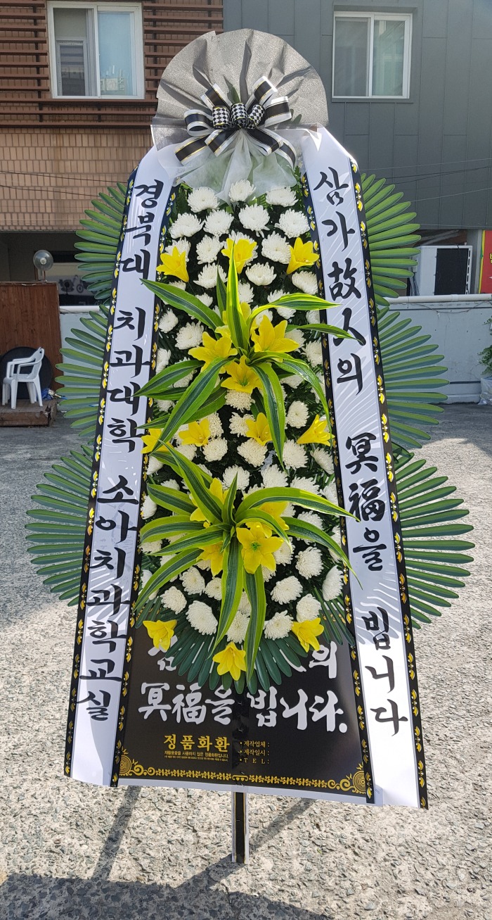 ϴ ġ ҾưǴ 뱸ȭȯ Դϴ 