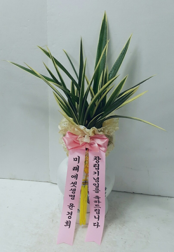 ̷» ޼ɹ Դϴ