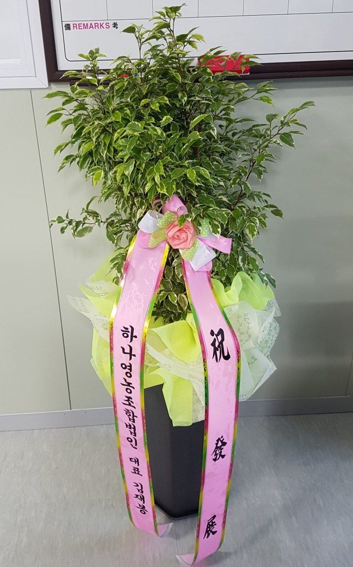 ϳչδ 뱸ɹ Դϴ 