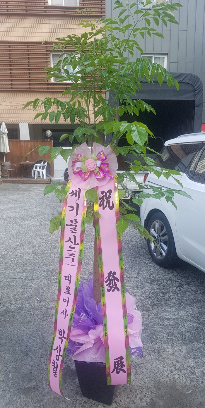 ⹰() 뱸ϱɹ Դϴ 