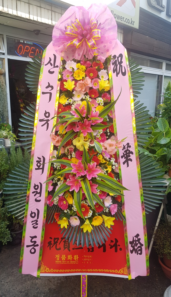 ȸ 뱸ɹ Դϴ 