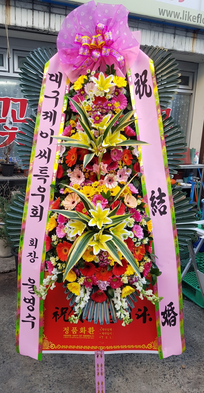 뱸̾Ưȸ 뱸ɹ Դϴ 