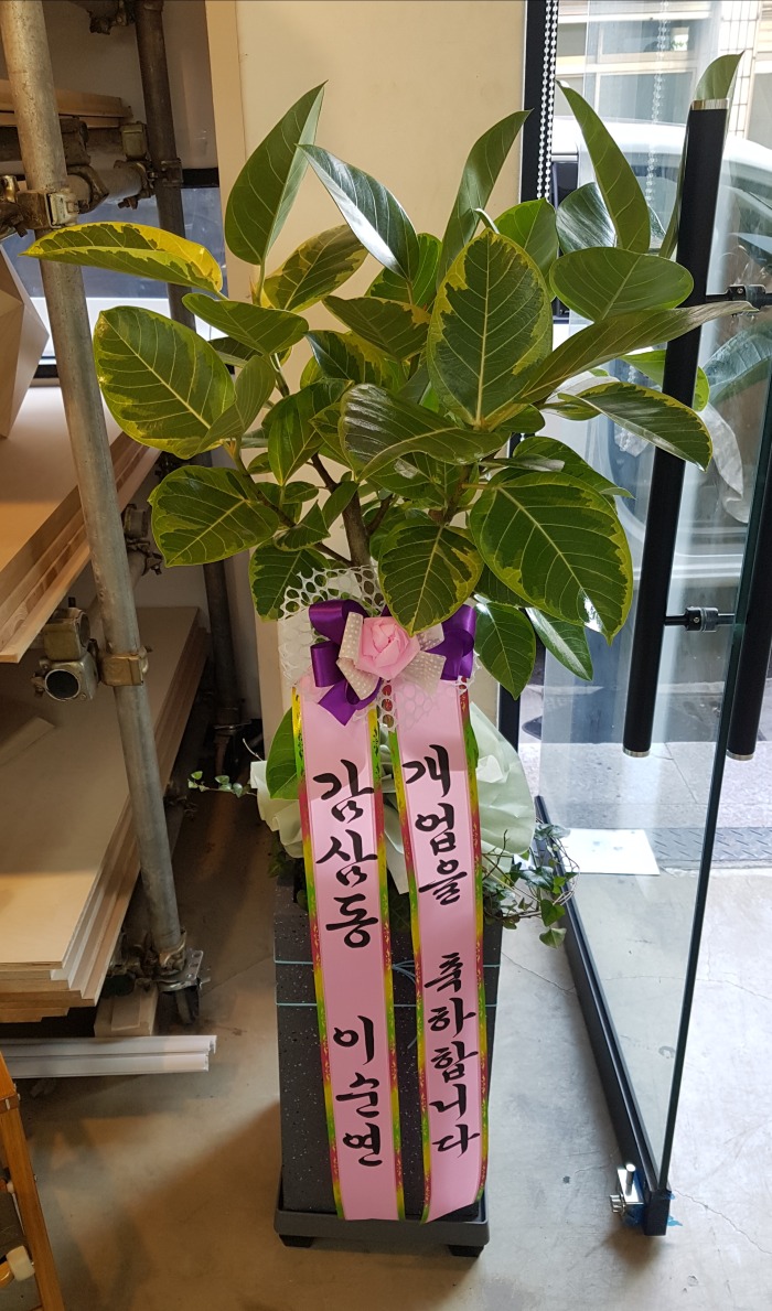 굿 뱸 Դϴ 