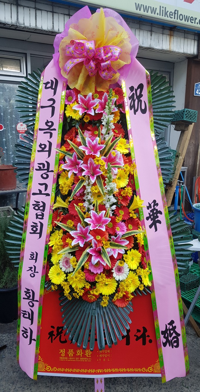 뱸ܱȸ 뱸ȭȯ Դϴ 