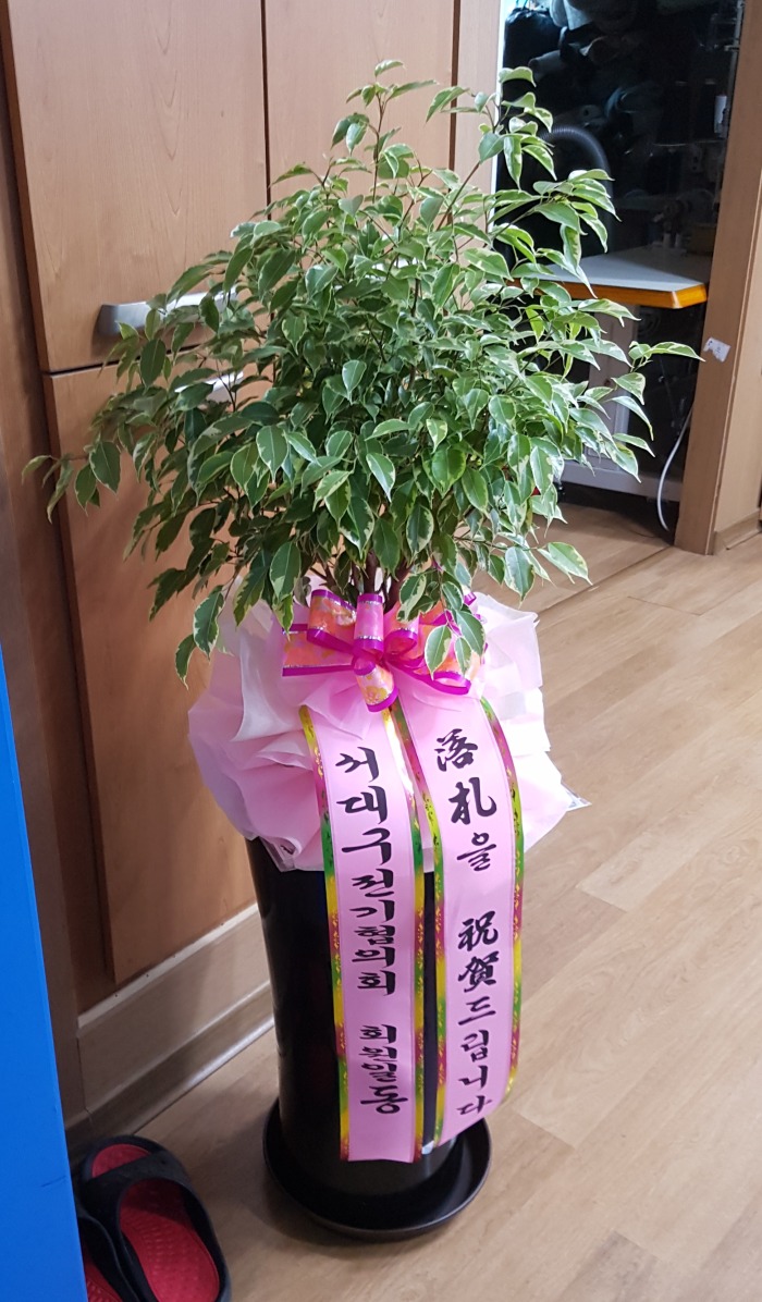 뱸ȸ 뱸ɹ Դϴ 